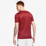 Camiseta Nike Dri-Fit Park