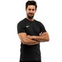 Camiseta Nike Dri-FIT Park VII
