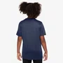 Camiseta Nike Dri-FIT Swoosh