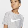 Camiseta Nike Dry Ss Top
