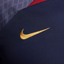Camiseta Nike Paris Saint Germain Strike