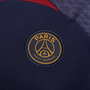 Camiseta Nike Paris Saint Germain Strike