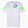 Camiseta Palmeiras Puma Treino Torcedor