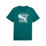 Camiseta Puma Graphic Wording Tee