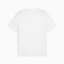 Camiseta Puma Teamgoal Football