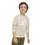 Conjunto Adidas Jogger Essentials