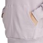 Moletinho Adidas Capuz Essentials Big Logo