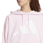 Moletom Essentials Big Logo French Terry Loose