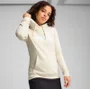 Moletom Puma Ess No. 1 Logo Hoodie