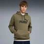 Moletom Puma Essentials No. 1 Logo