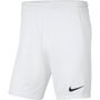 Shorts Nike Dri Fit