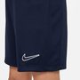 Shorts Nike Dri-FIT Academy 23