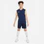 Shorts Nike Dri-FIT Academy 23